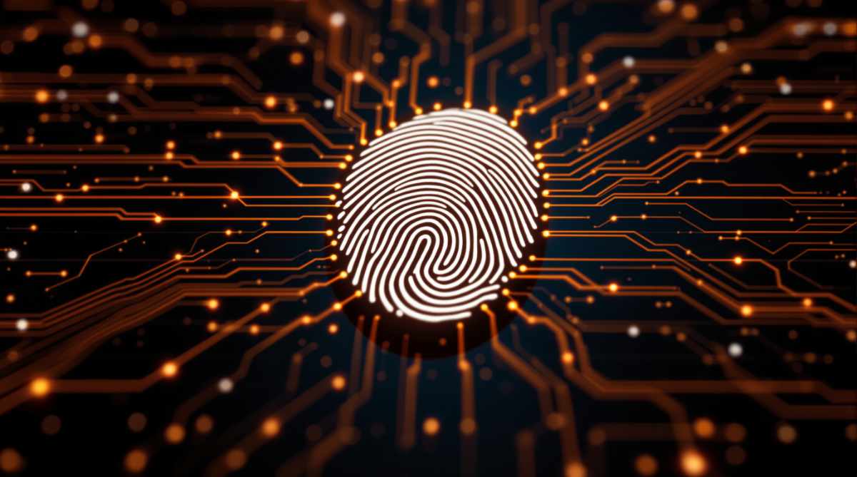 Biometric Authentication: The Future of Secure Identity Verification